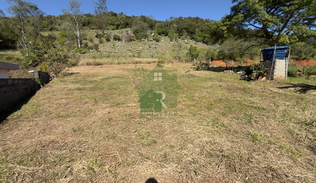 IMG7733